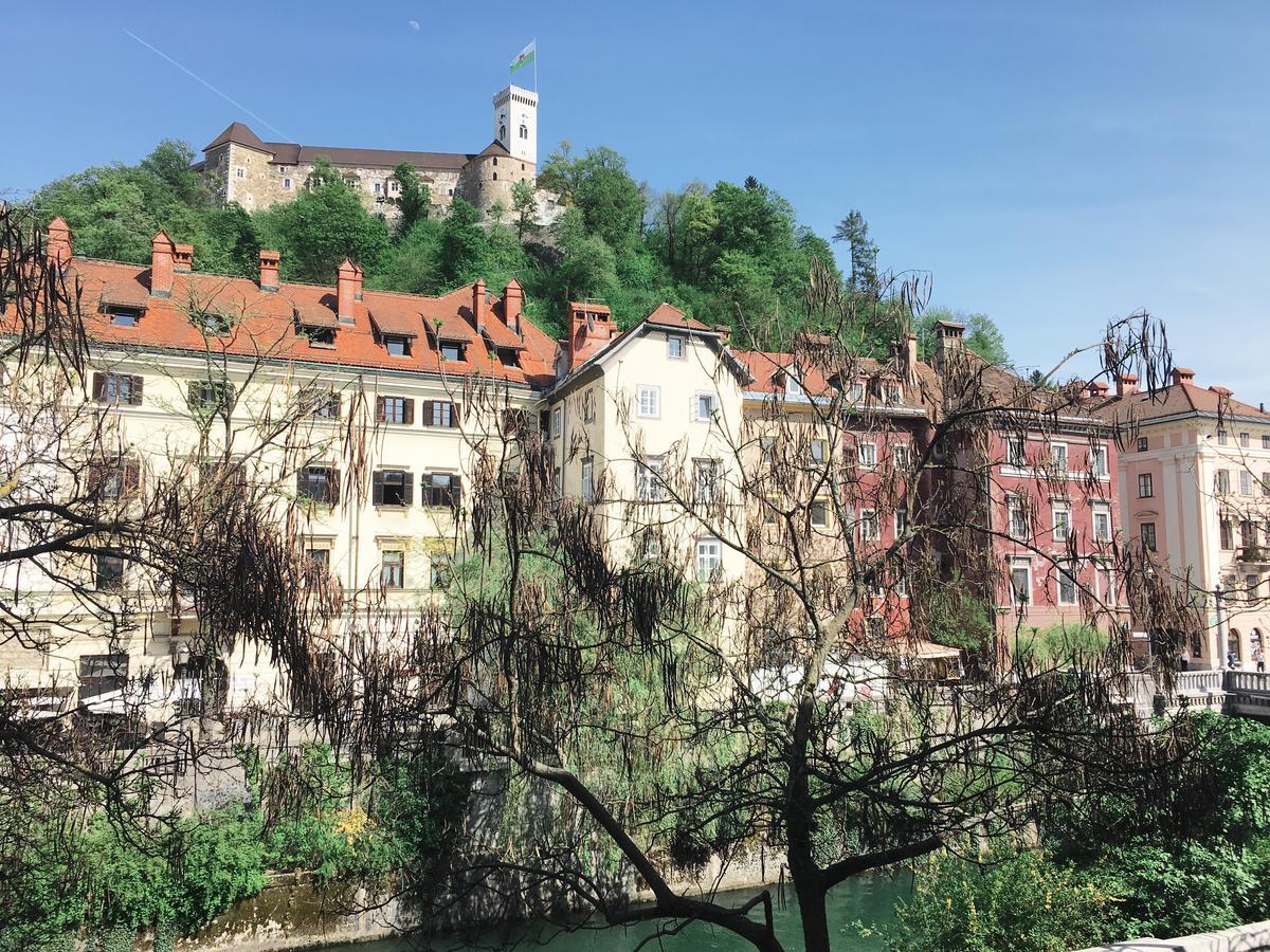 River And Castle View Apartment Rose Tour As Ljubljana Buitenkant foto